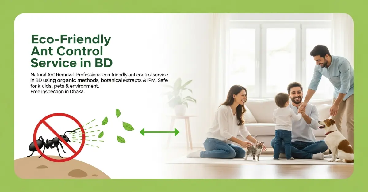 Eco-Friendly Ant Control